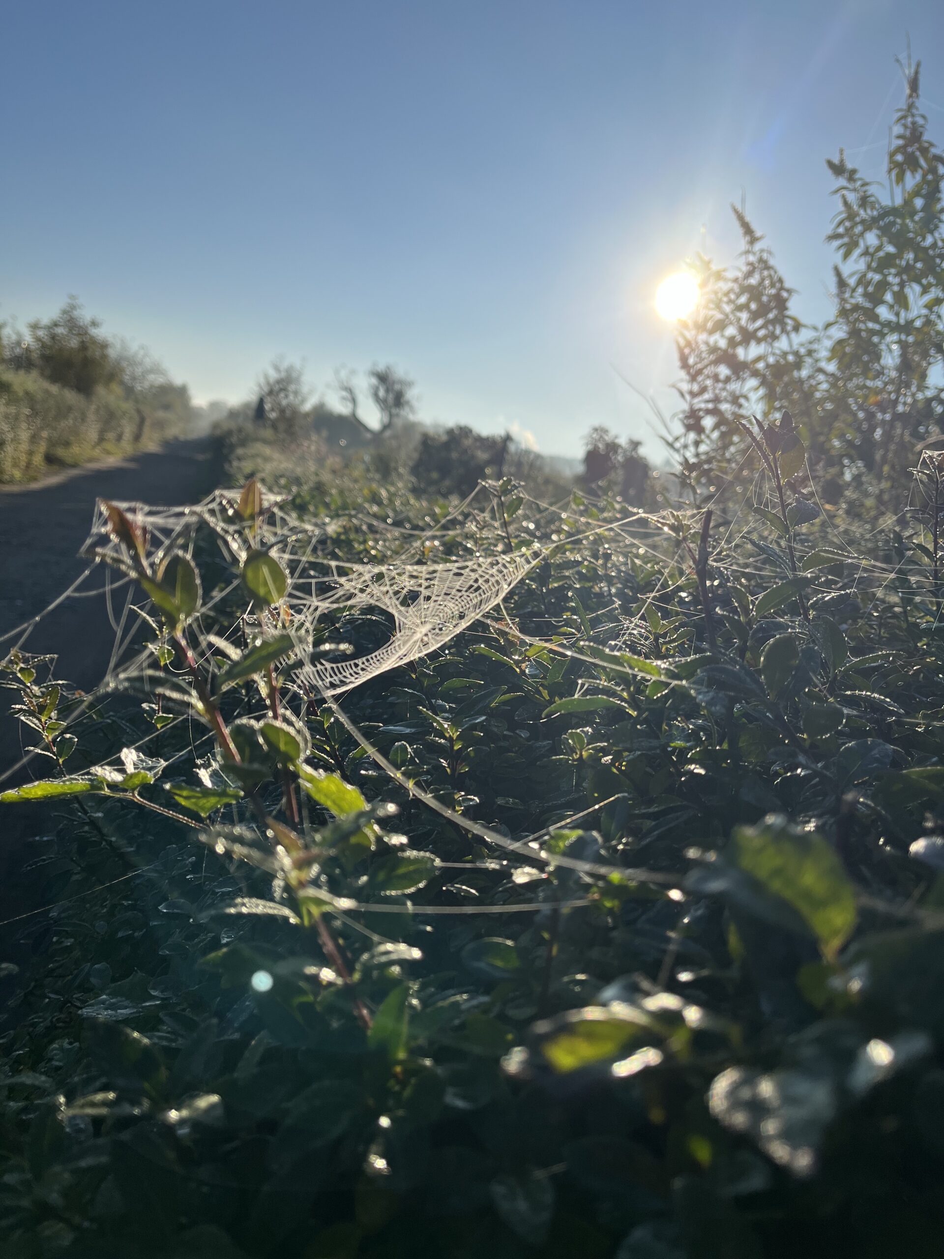 St.Juergen-Herbst St.Juergen-Herbst